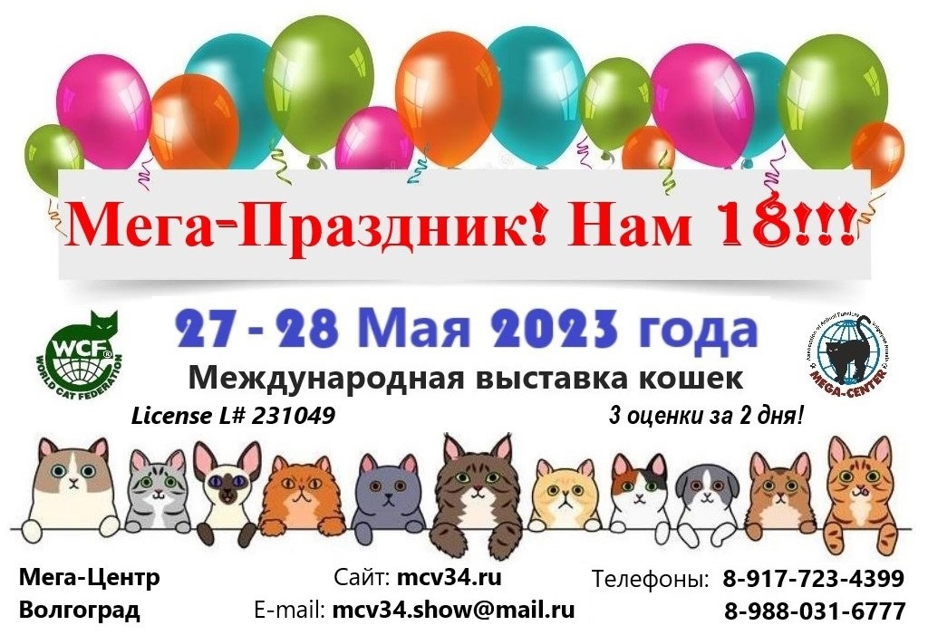 Выставка кошек мегагринн 2024. Мега кошка.